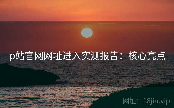 p站官网网址进入实测报告：核心亮点