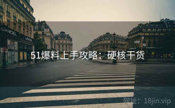 51爆料上手攻略：硬核干货