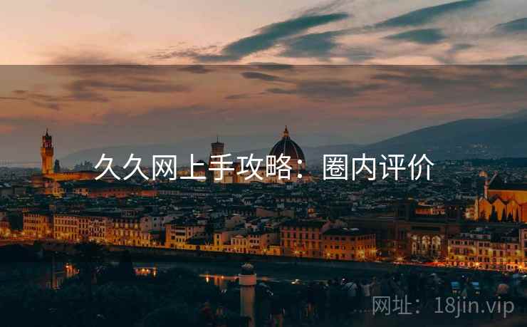 久久网上手攻略：圈内评价
