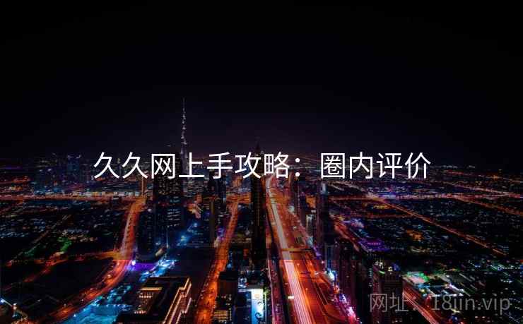 久久网上手攻略：圈内评价