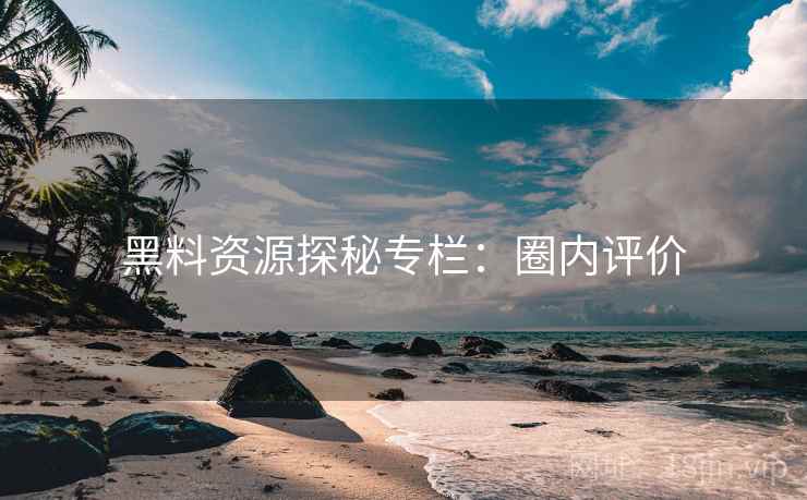 黑料资源探秘专栏：圈内评价