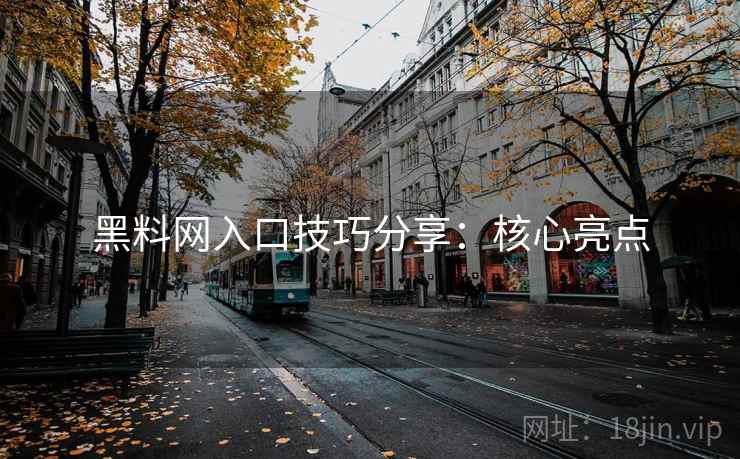 黑料网入口技巧分享：核心亮点