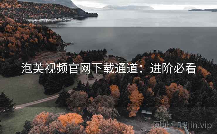 泡芙视频官网下载通道：进阶必看