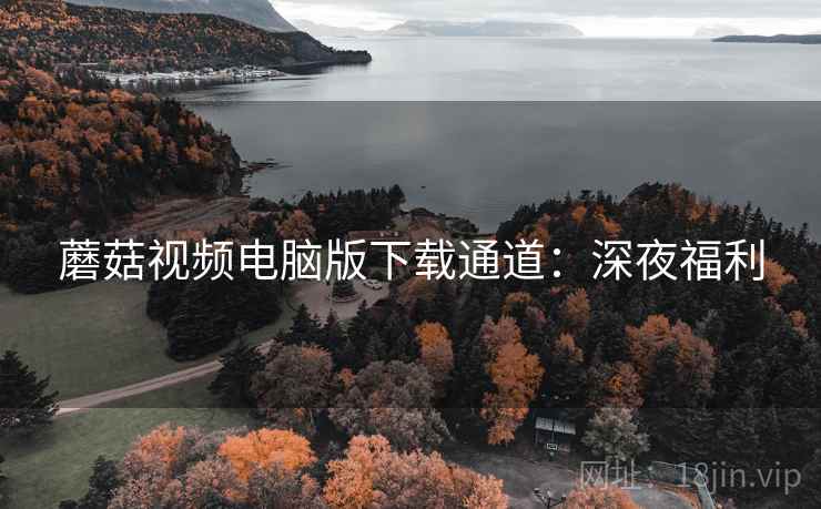 蘑菇视频电脑版下载通道：深夜福利