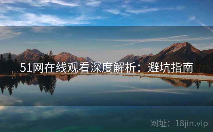 51网在线观看深度解析：避坑指南