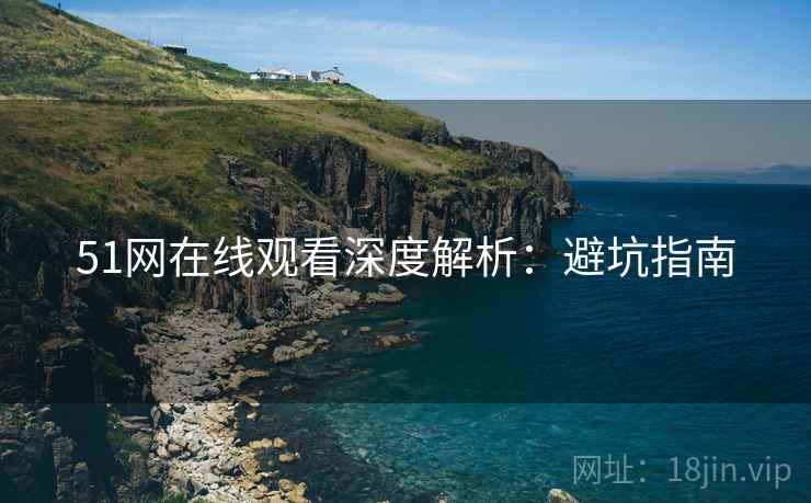 51网在线观看深度解析：避坑指南