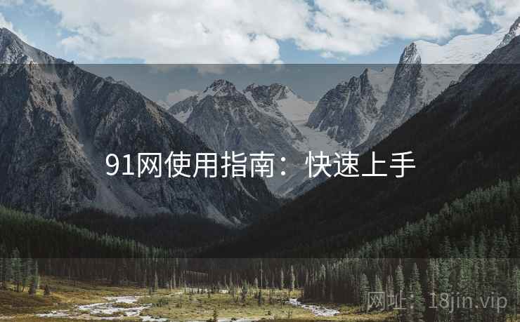 91网使用指南：快速上手