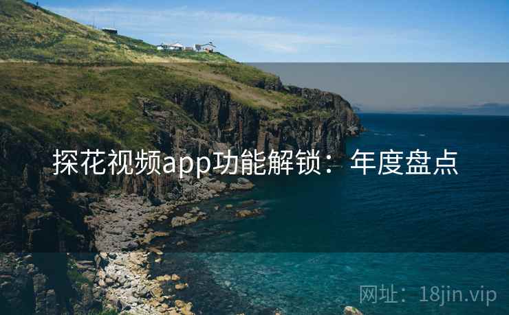 探花视频app功能解锁：年度盘点