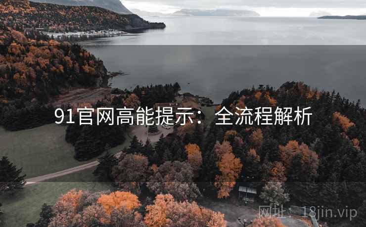 91官网高能提示：全流程解析