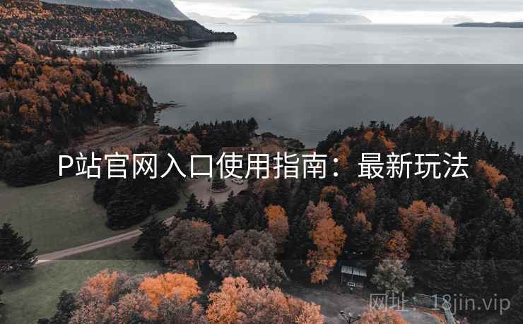 P站官网入口使用指南：最新玩法